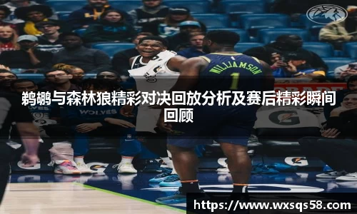 鹈鹕与森林狼精彩对决回放分析及赛后精彩瞬间回顾